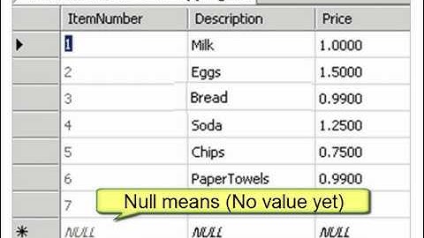 SQL Developer 2008 Understanding Database Geek Speak from Joes 2 Pros Vol. 1 Chapter 1