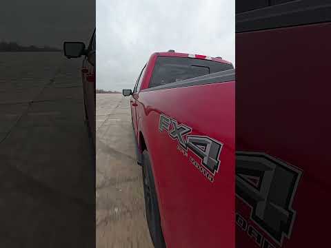 🐿 Even here, speed is under control… Nature’s speed monitor at work! #Shorts #CarHumor #FordF150
