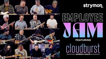 Strymon Staff Jam Using Only Cloudburst For Effects