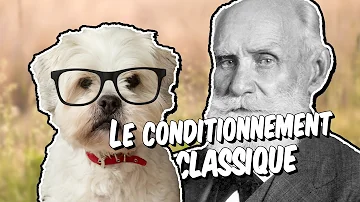 Quel était le nom du chien de Pavlov ?