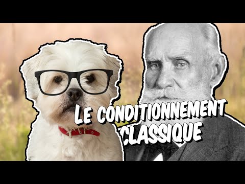 Vidéo: Comment utiliser le conditionnement classique pour former des chiens