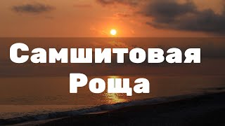 Пансионат Самшитовая Роща. Абхазия. Видео обзор. Отзыв в описании.