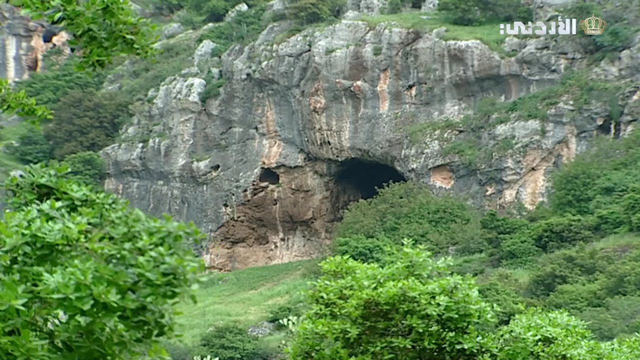 وادي الريّان.. مميزاته وطبيعته🌾🌴