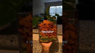 3 Things To Do With Your Juice Pulp