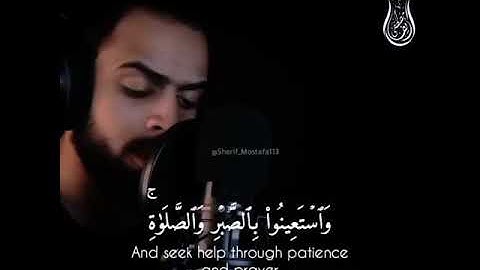 قرآن كريم بصوت القارئ شريف مصطفى تلاوة مؤثر ارح قلبك 💚🌿حالة واتس إسلامية /استوري انستغرام