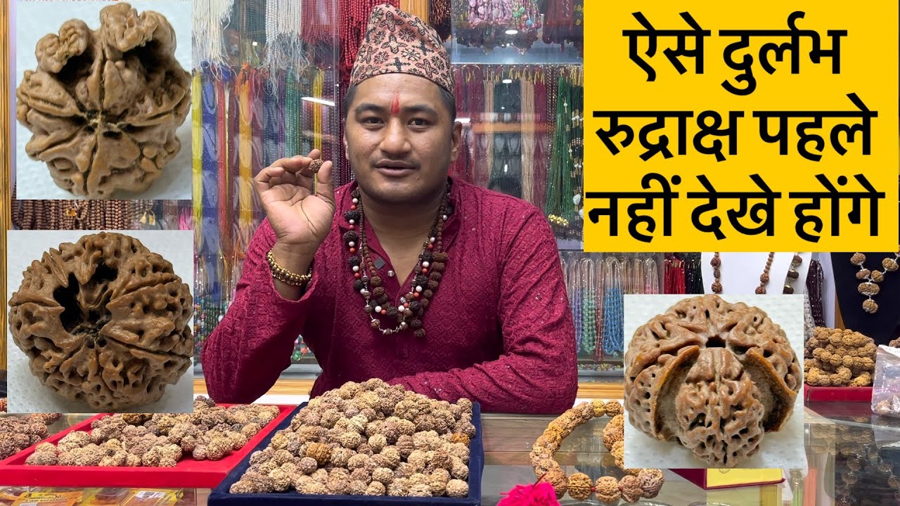 ऐसे दुर्लभ रुद्राक्ष पहले नहीं देखे होंगे 😳#nepal #nepalirudraksha #rudrakshabeads