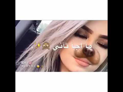 يقولون الصدف نعمهه مين نعمتكك
