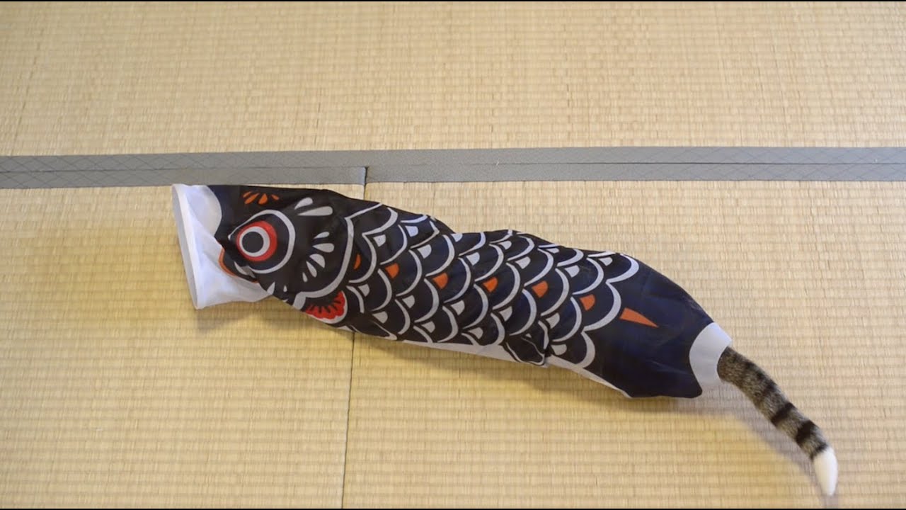 猫藓 鯉のぼりに入って遊ぶ猫達 Plaything consisting of a small model of a carp streamer that cats can play inside of