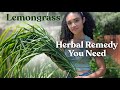 Making Natural Medicine with Lemongrass