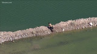 Short pursuit leads to three arrests