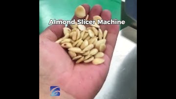 Almond Slicer Machine Test Running | Nuts Slicing Machine | Sliced Almond