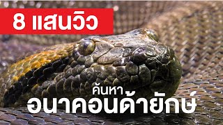 สารคดี สำรวจโลก ตอน ค้นหาอนาคอนด้ายักษ์ - เสียงเรียกของเพชฌฆาตใต้พื้นน้ำ