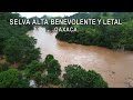 Las IMPLACABLES INUNDACIONES de la selva || Oaxaca indomable. (1/2)