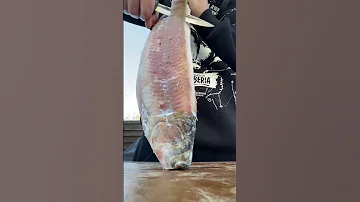 Строганина из омуля, деликатес, рыба мечты от сибиряка!