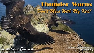 Thunder Warns &quot;Don&#39;t Mess With My Kid&quot; on West End nest ~ 7/4/22 ~ Explore.org