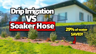 Soaker Hose vs. Drip Irrigation | Replacing Soaker Hose with a DIY Drip Irrigation System