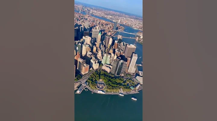 #newyork #concrete #jungle #youtubeshorts #viral #shortsvideo #shorts