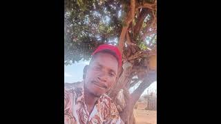 Download Lagu Mbange Nguvange kathua sana boys band new release  MP3