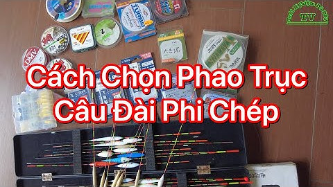 Cách Chọn phao Và Trục Thẻo Câu Cá Phi  ,  Cá Chép Cho Phù Hợp