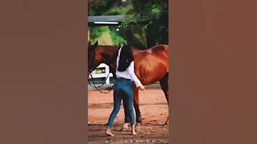 فرس فرس 
