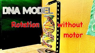 How to make DNA Model 360° Rotation without Motor #science #school project #biology