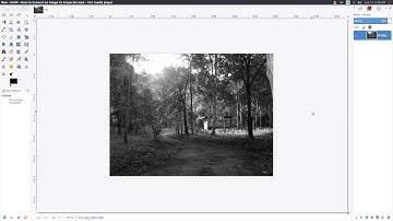 GIMP: How to Convert an Image to Grayscale