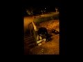 Capture de la vidéo Doctor Flake - Fightclubbing (Feat.vale Poher)