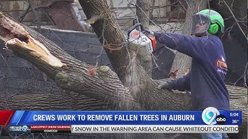 Crews work to remove fallen trees in Auburn