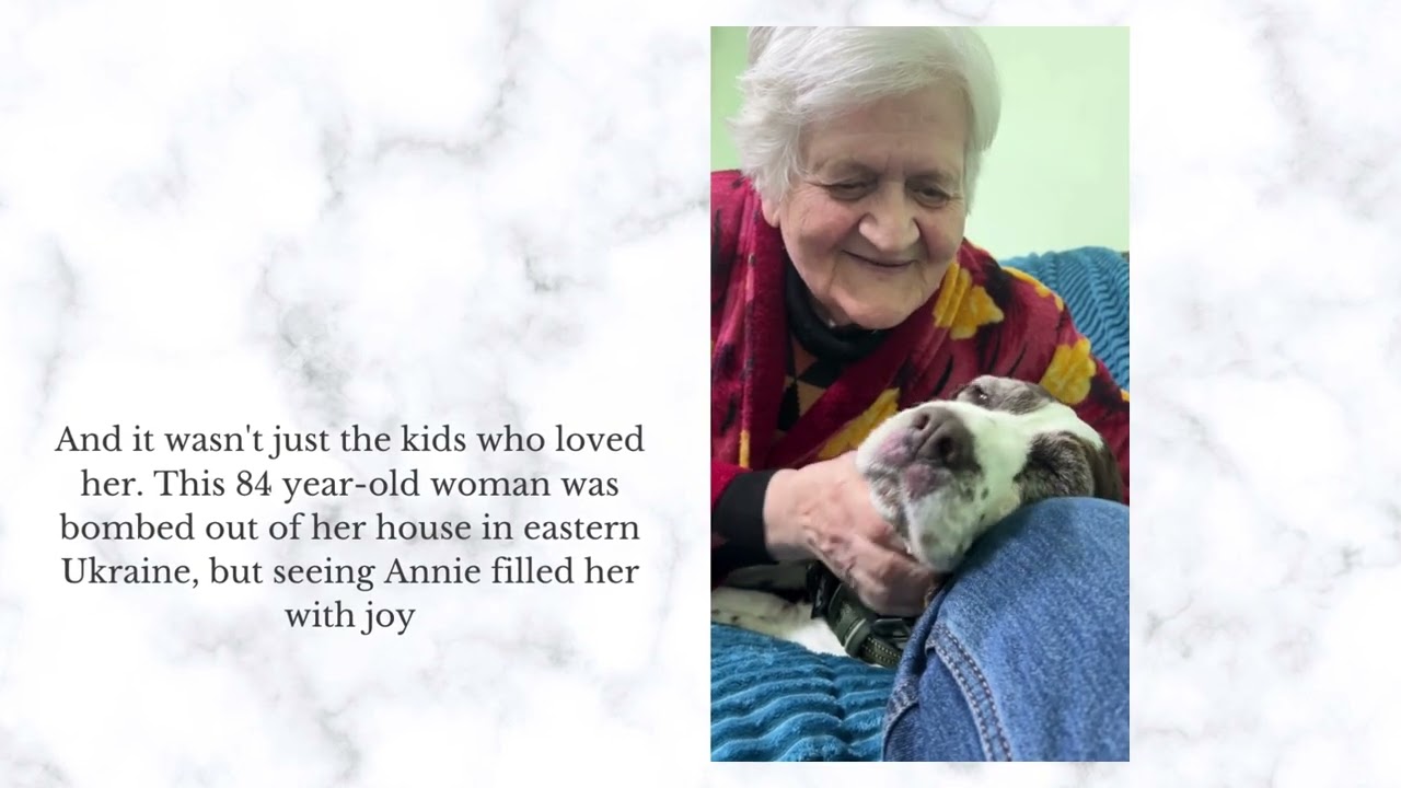 In memory of my sweet girl Annie