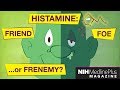 Histamine the stuff allergies are made of