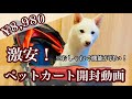 【激安！？】犬用ペットカートをネットで買ってみた。使い方や組み立て方も解説します！個人的におすすめです！！