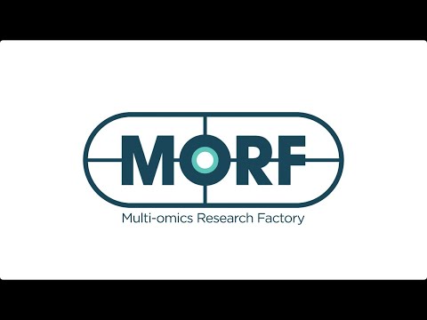 Introducing MORF: the