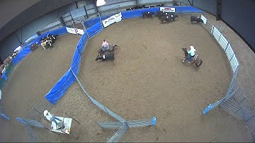 Big Sky Ranch Sorting Saddle Series #6 - #8 HC Ranch Hand - Round #2 - Ride #8