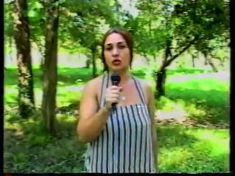 ტელეკომპანია \"ფაზისი\" (ციკლიდან_ გადარჩენილი გადაცემები)