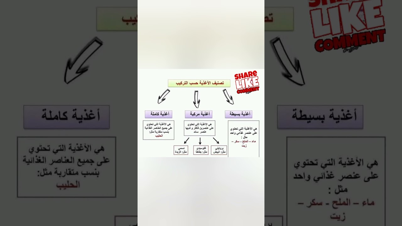 تصنيف  الأغذية من حيث التركيب أولى متوسط