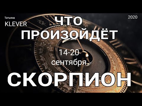 Video: Horoskop 14. Prosince Od Waltera Mercada