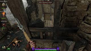Vermintide 2 Glitch (BETA)