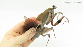 Unboxing Dango Mushi Random Praying Mantis Dead Leaf Mantis Action Figure BANDAI 2021