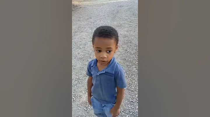 I wont chase chickens