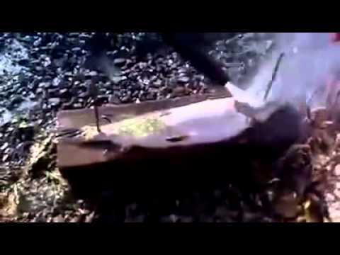 Video: Jak Se Zbavit Ryb