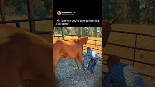 When the horse simply says no