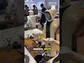 China’s AI Powered Daily Life Robots Are Taking Over Real World Jobs