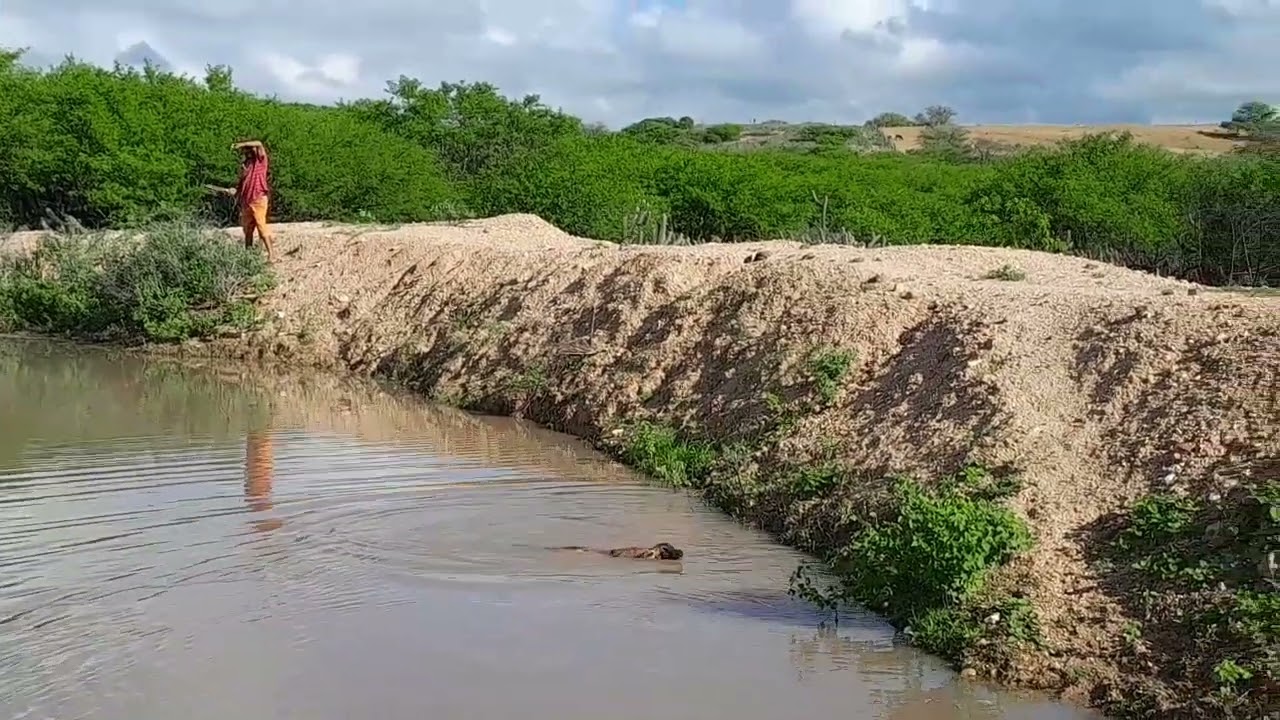 Fazendo limpeza no baldo do barreiro 