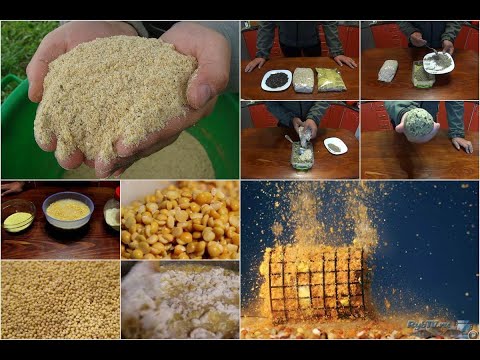 Video: Otni qanday o'rgatish kerak (rasmlar bilan)