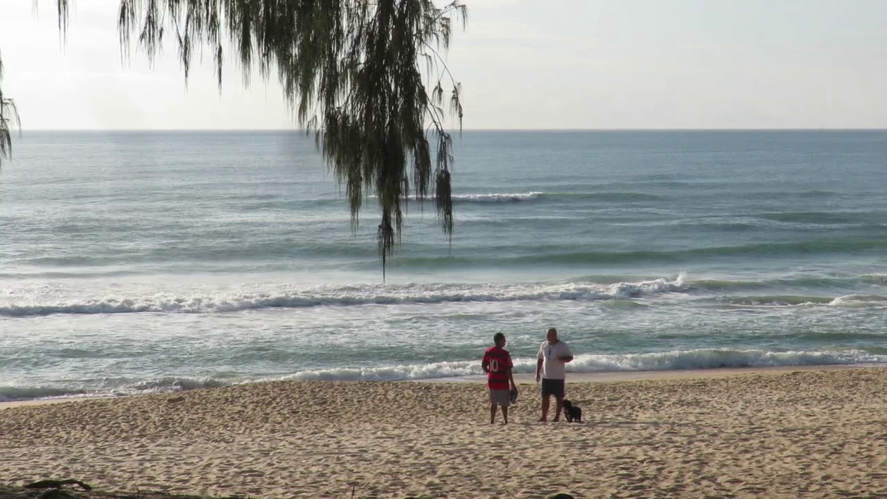 Praia do Moçambique 18 Fevereiro 2020 – Boletim das Ondas In Paradise