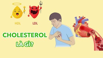 Cholesterol là gì? Cholesterol LDL (Xấu) so với HDL (Tốt)