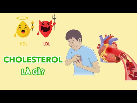 Video: Làm thế nào để chuẩn bị cho một bài kiểm tra cholesterol: 10 bước (có hình ảnh)