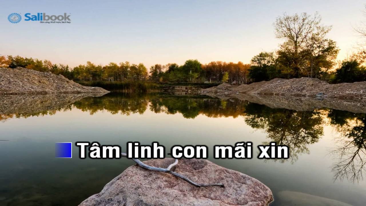 [Karaoke TVCHH] 112- TÂM HỒN TRONG TRẮNG - Salibook