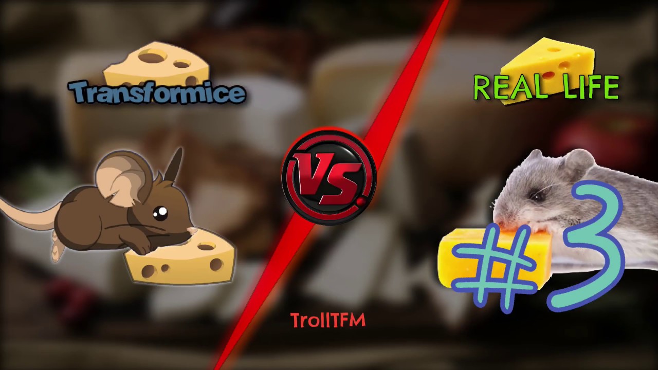 TRANSFORMICE VS REAL LIFE #3