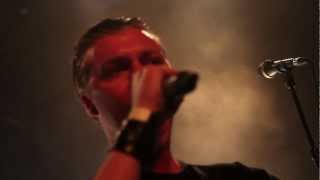 Saint Rebel - 